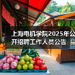 上海电机学院2025年公开招聘工作人员公告（第二批）（图1）