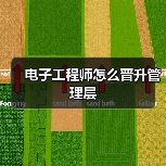 电子工程师怎么晋升管理层(图2) 电子工程师怎么晋升管理层(图2)
