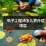电子工程师怎么晋升管理层(图4) 电子工程师怎么晋升管理层(图4)