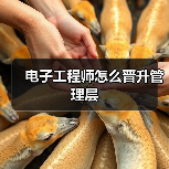 电子工程师怎么晋升管理层(图3) 电子工程师怎么晋升管理层(图3)