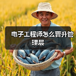 电子工程师怎么晋升管理层(图1) 电子工程师怎么晋升管理层(图1)