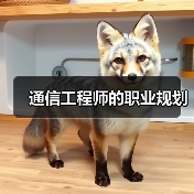 通信工程师的职业规划(图3) 通信工程师的职业规划(图3)