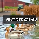 通信工程师的职业规划(图4) 通信工程师的职业规划(图4)