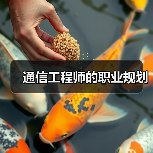 通信工程师的职业规划(图2) 通信工程师的职业规划(图2)