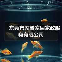 东莞市家馨家园家政服务有限公司（图2）