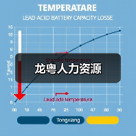 龙粤人力资源（图4）