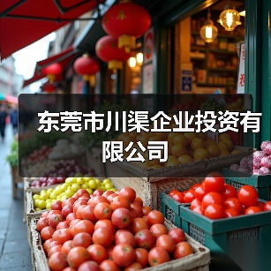 东莞市川渠企业投资有限公司（图3）