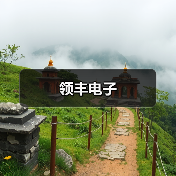 领丰电子（图2）