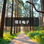 领丰电子（图1）