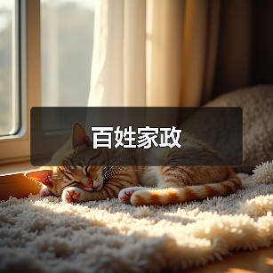 百姓家政(图1) 百姓家政(图1)