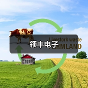 领丰电子（图4）