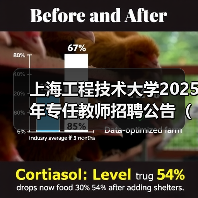 上海工程技术大学2025年专任教师招聘公告（第二批）（图3）