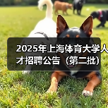 2025年上海体育大学人才招聘公告(第二批)(图2) 2025年上海体育大学人才招聘公告(第二批)(图2)