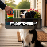 东莞市宝瑞电子(图3) 东莞市宝瑞电子(图3)