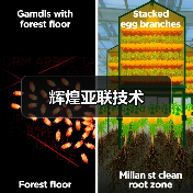 辉煌亚联技术(图1) 辉煌亚联技术(图1)
