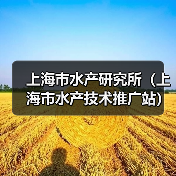 上海市水产研究所(上海市水产技术推广站) 2024年公开招聘博士研究生公告(图3) 上海市水产研究所(上海市水产技术推广站) 2024年公开招聘博士研究生公告(图3)