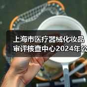 上海市医疗器械化妆品审评核查中心2024年公开招聘工作人员公告(图4) 上海市医疗器械化妆品审评核查中心2024年公开招聘工作人员公告(图4)