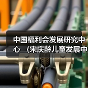 中国福利会发展研究中心 (宋庆龄儿童发展中心、中国福利会教师教育发展中心)公开招聘公告(图2) 中国福利会发展研究中心 (宋庆龄儿童发展中心、中国福利会教师教育发展中心)公开招聘公告(图2)