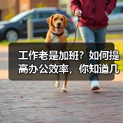 工作老是加班?如何提高办公效率,你知道几点(图3) 工作老是加班?如何提高办公效率,你知道几点(图3)