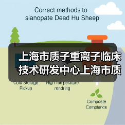 上海市质子重离子临床技术研发中心上海市质子重离子医院招聘公告(图3) 上海市质子重离子临床技术研发中心上海市质子重离子医院招聘公告(图3)