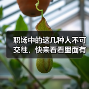 职场中的这几种人不可交往，快来看看里面有你吗（图3）