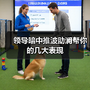 领导暗中推波助澜帮你的几大表现(图2) 领导暗中推波助澜帮你的几大表现(图2)