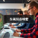 东莞锐嘉精密（图2）