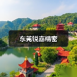 东莞锐嘉精密（图4）