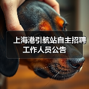 上海港引航站自主招聘工作人员公告(图3) 上海港引航站自主招聘工作人员公告(图3)