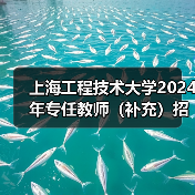 上海工程技术大学2024年专任教师(补充)招聘公告(图4) 上海工程技术大学2024年专任教师(补充)招聘公告(图4)