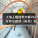 上海工程技术大学2024年专任教师(补充)招聘公告(图1) 上海工程技术大学2024年专任教师(补充)招聘公告(图1)