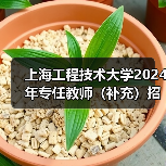 上海工程技术大学2024年专任教师(补充)招聘公告(图2) 上海工程技术大学2024年专任教师(补充)招聘公告(图2)