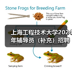 上海工程技术大学2024年辅导员(补充)招聘公告(图4) 上海工程技术大学2024年辅导员(补充)招聘公告(图4)