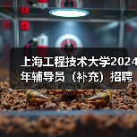上海工程技术大学2024年辅导员(补充)招聘公告(图2) 上海工程技术大学2024年辅导员(补充)招聘公告(图2)
