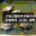 上海工程技术大学2024年辅导员(补充)招聘公告(图1) 上海工程技术大学2024年辅导员(补充)招聘公告(图1)