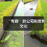 “有趣”的公司制度和文化(图3) “有趣”的公司制度和文化(图3)