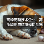 高绮高新技术企业，高质印刷与精密模切系统多产业解决方案（图4）
