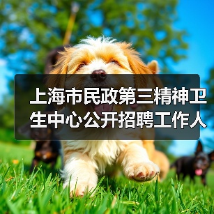 上海市民政第三精神卫生中心公开招聘工作人员公告(图1) 上海市民政第三精神卫生中心公开招聘工作人员公告(图1)
