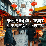 维达纸业中国：亚洲卫生用品巨头的业务布局与发展前景（图2）