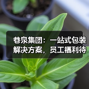 巷泉集团：一站式包装解决方案，员工福利待遇如何？（图3）
