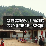 软包装新势力！瑜利包装如何用B2B+B2C模式引领行业变革？（图1）