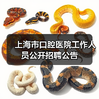 上海市口腔医院工作人员公开招聘公告（图2）