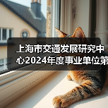 上海市交通发展研究中心2024年度事业单位第二轮自主招聘公告（图1）