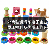 外商独资汽车电子企业员工福利及优质工作环境解析(图1) 外商独资汽车电子企业员工福利及优质工作环境解析(图1)