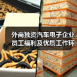 外商独资汽车电子企业员工福利及优质工作环境解析(图2) 外商独资汽车电子企业员工福利及优质工作环境解析(图2)