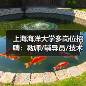 上海海洋大学多岗位招聘：教师/辅导员/技术岗火热招募中（图4）