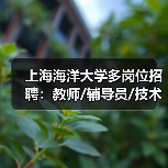 上海海洋大学多岗位招聘：教师/辅导员/技术岗火热招募中（图1）