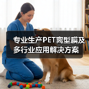 专业生产PET离型膜及多行业应用解决方案（图4）