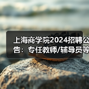 上海商学院2024招聘公告：专任教师/辅导员等岗位详情（图4）