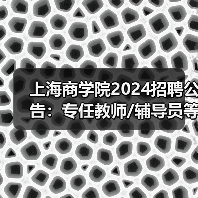 上海商学院2024招聘公告：专任教师/辅导员等岗位详情（图2）